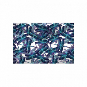 55324 �����-������� �� ������ ����������� ErichKrause Neon Dragonflies, A4 (� ������ �� 12 ��.)