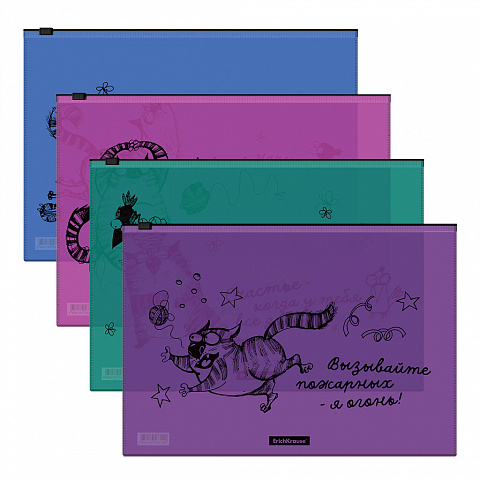 54917 Zip-  ErichKrause Zen Cats, A4,  (   12 .)