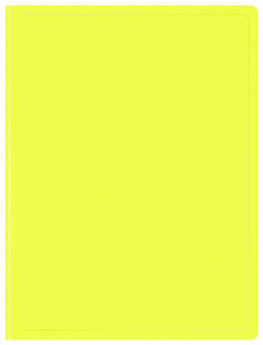 1131760   10 ..  Double Neon DNE07V10YEL A4  0.7 