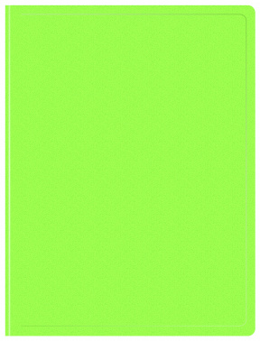 1131764   30 ..  Double Neon DNE07V30LETT A4  0.7 