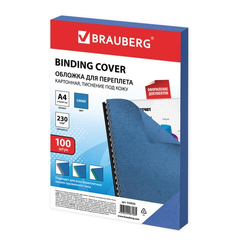 530836    , 4,  100 .,   , 230 /2, , BRAUBERG, 530836