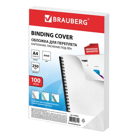 530839     4,  100 .,   , 250 /2, , BRAUBERG, 530839
