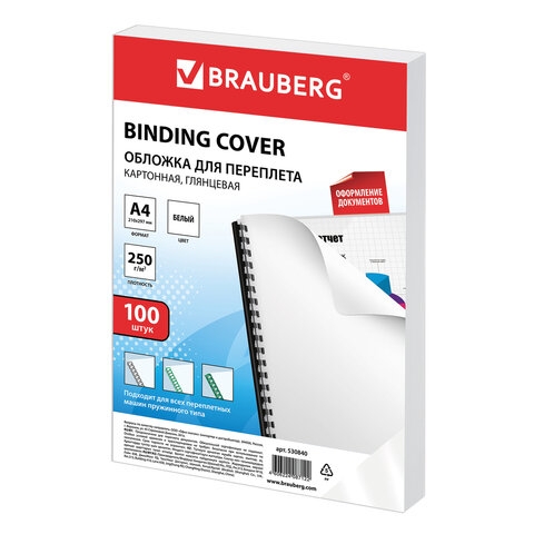530840    , 4,  100 ., , 250 /2, , BRAUBERG, 530840