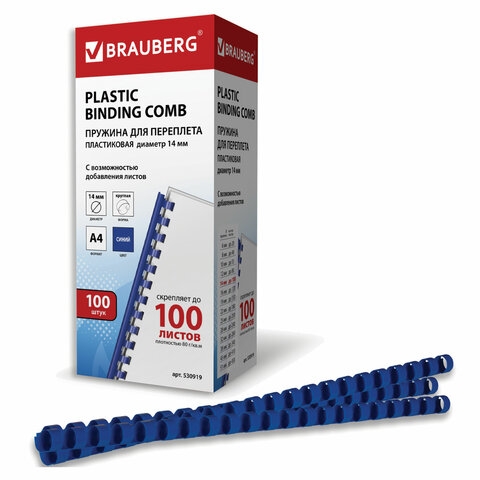 530919    ,  100 ., 14  (  81-100 .), , BRAUBERG, 530919