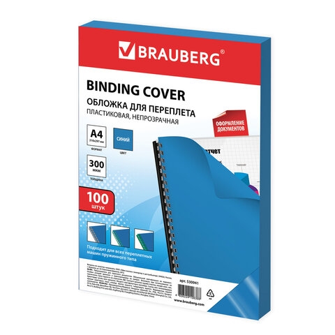 530941    , 4,  100 ., 300 , , BRAUBERG, 530941