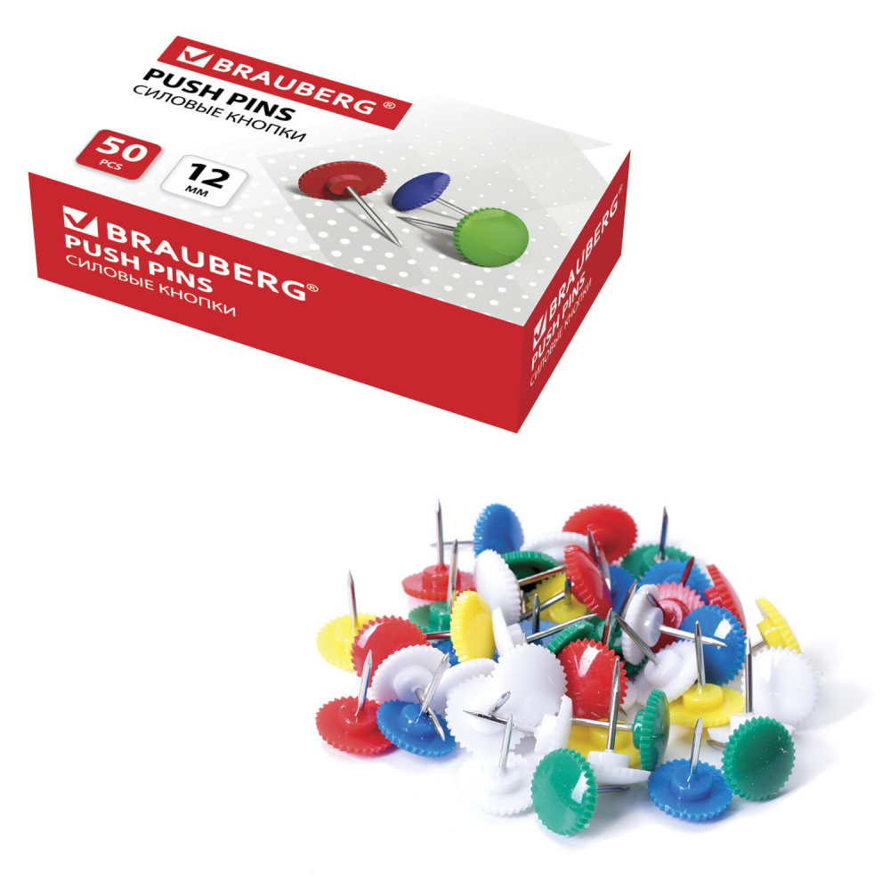 224771   BRAUBERG, , , 12 , 50 .,   